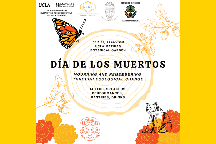 Collage of a monarch, flowers, acorns, and a bear surrounding a burl in yellow, orange, and gold colors.